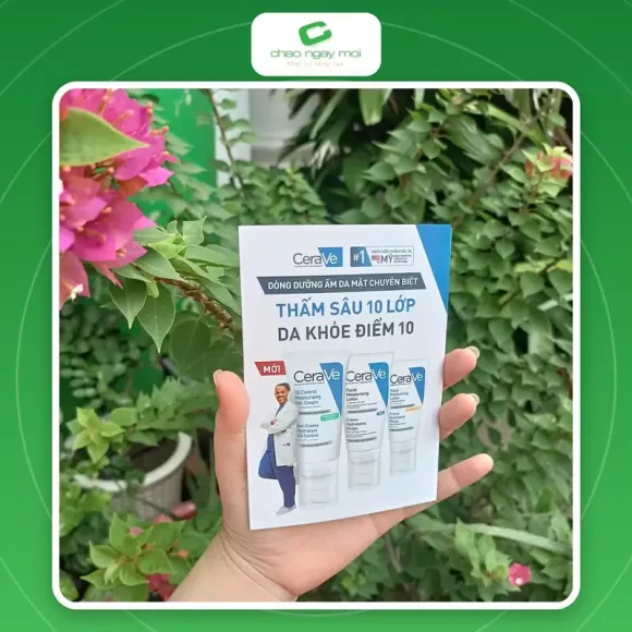 Tin tức