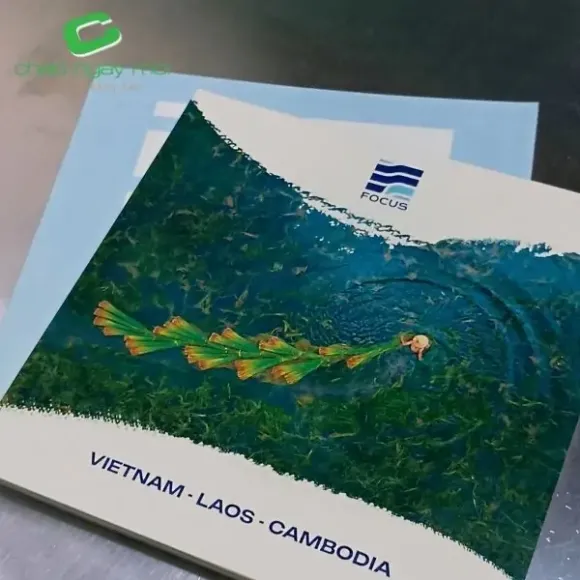 10 lỗi thường gặp khi đặt in nhanh và cách tránh