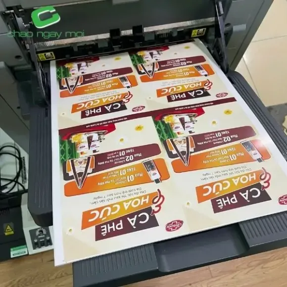 In nhanh có thể in bao nhiêu màu?