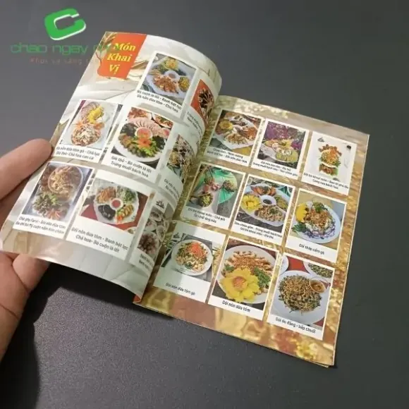 In nhanh có thể in bao nhiêu màu?