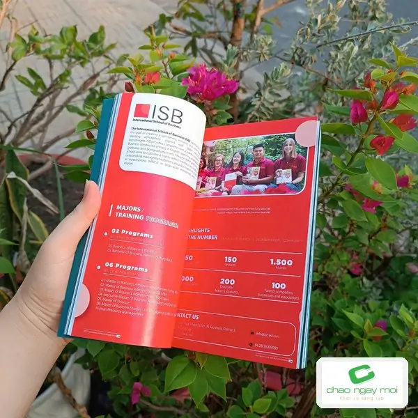 Trang giới thiệu chương tr&igrave;nh đ&agrave;o tạo của ISB