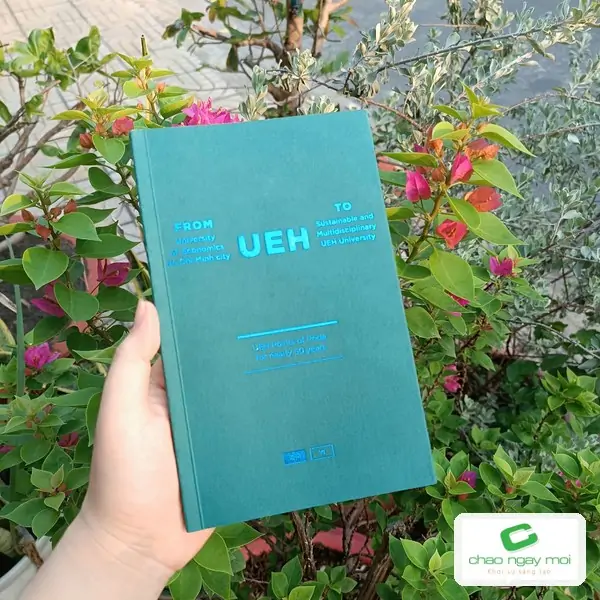 B&igrave;a cuốn s&aacute;ch đ&oacute;ng g&aacute;y chắc chắn, ho&agrave;n thiện gọn g&agrave;ng