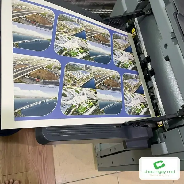 Tờ in nhiều hình ảnh đang được nạp vào máy gia công